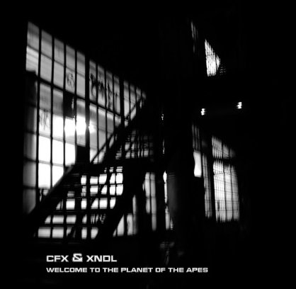 CFX & XNDL – welcome to the planet of the apes